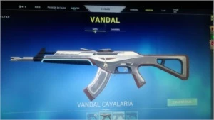 Conta valorant RADIANTE,muitas skins!