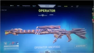 Conta valorant RADIANTE,muitas skins!