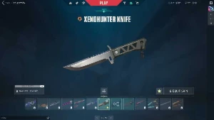 Conta Valorant (Karambit Sublime)