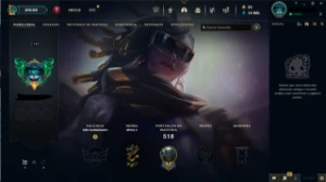 Conta League Of Legends ( 332 Skins ) Lv 349 - League of Legends: Wild Rift LOL WR