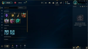 Conta League Of Legends ( 332 Skins ) Lv 349 - League of Legends: Wild Rift LOL WR