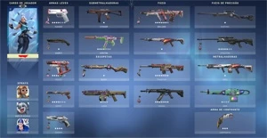 Conta Valorant Champions Full skins...