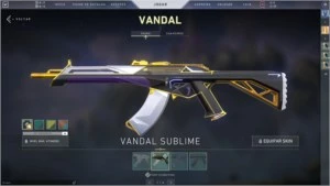 Conta RIOT - LOL Platina IV 147 skins. VALORANT Varias skins - League of Legends
