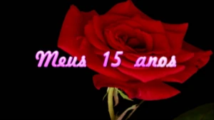 15 anos aniversario rosa convite animado em vídeo - Outros