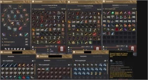 CONTA BLACK DESERT / ZERKER 62 + 587GS + GARMOTH - COM EMAIL