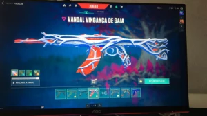 Conta De Valorant com Skins, Dima 2 (ex ASCENDENTE)