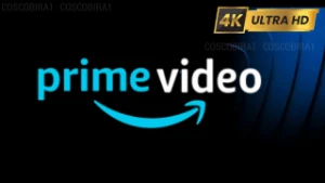 Prime Vídeo- 20 dias  - Premium