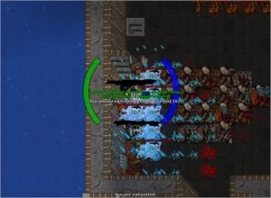 Vendo rp 167 em ombra sem registro - Tibia
