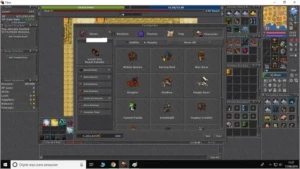 RP LV 345 SKILL 117 NA BARRA - Tibia