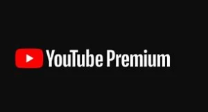 Youtube Premium + Canva Pro 30 dias - Assinaturas e Premium