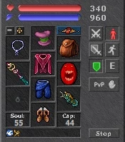 Sorcerer Lvl 39 sem RK Laudera - Tibia
