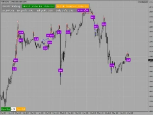 Hamster Scalping EA - Forex Expert Advisor Automatico - Outros