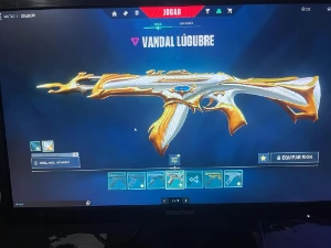 Conta Valorant Com Muitas Skins - R$500 gastos