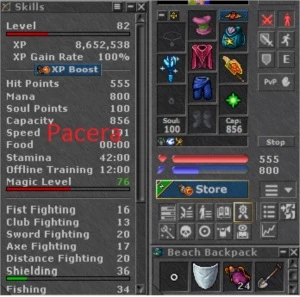 KNIGHT LEVEL 312 PACERA COM OUTROS CHARES NA CONTA - Tibia
