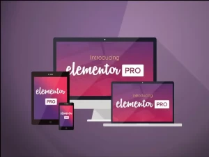 Elementor Pro - Plugin Premium - Vitalício v3.32.1 - Softwares e Licenças