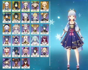 Premium Dps : Ayaka, Xiao, Wanderer - Genshin Impact