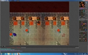 RP 243 MAGERA ED 102 KINA 98 - Tibia