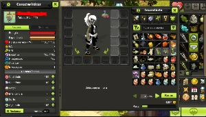 Conta Dofus
