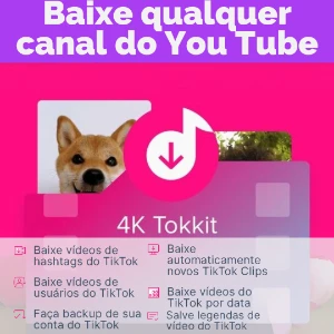 4K Tokkit — Baixe Todo perfil no TikTok! Um clique! - Redes Sociais