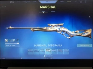 CONTA VALORANT C/ MUITAS SKINS E TODOS OS PASSES DE BATALHA