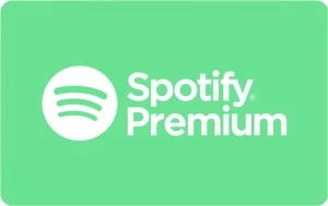 Spotify Premium 4 Meses
