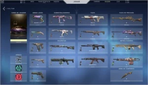 Val - Skins do passe desde o beta+variadas + 845VP + 450RP - Valorant