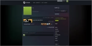 CONTA CS GO PRIME - LVL 17 GC 243 HORAS DE JOGO - Counter Strike