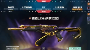 Valorant/Skin Com Varias Skins Que Não Voltam Mais! / 5800,0