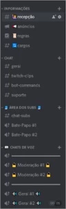 CONFIGURO DISCORD COMPLETO E CONFIGURO BOTS - Redes Sociais