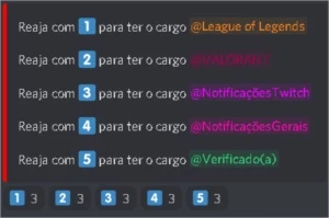CONFIGURO DISCORD COMPLETO E CONFIGURO BOTS - Redes Sociais