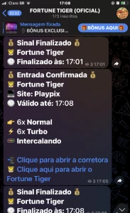 Fortune Tigre 99%🐯 - Outros