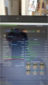 Elite knight level 213 - Tibia