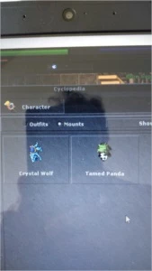 Elite knight level 213 - Tibia