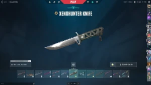 Conta de Valorant PLatina 1