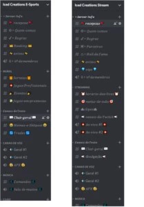 Monto seu servidor do Discord (Qualquer tamanho e tipo) - Redes Sociais