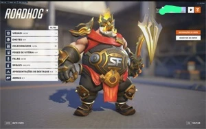 CONTA OW2 FULL SKINS, SKINS CONTENDERS, SKINS OWL, TOKENSOWL - Blizzard