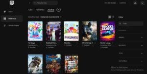 Conta Epic Games