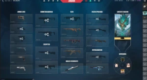 conta valorant com bastante skin