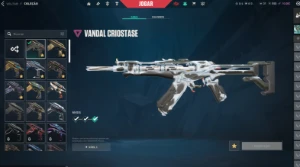 conta valorant com bastante skin