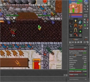 Elder Druid (ED) 330 Optional PVP - Tibia