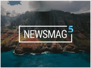 Tema Wordpress Newsmag + Atualizações - Outros