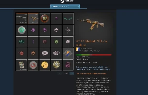 Conta Counter Strike Skins (Prime) CS