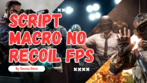 Script Macro No Recoil FPS