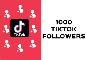 1000 TikTok Followers [SEGUIDORES] - Premium