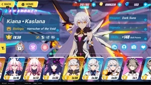 Honkai Impact 3rd - Others