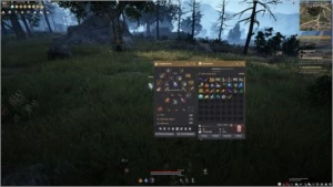 conta black desert com pacote prata