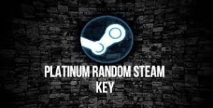 Steam Key Platina - Outros