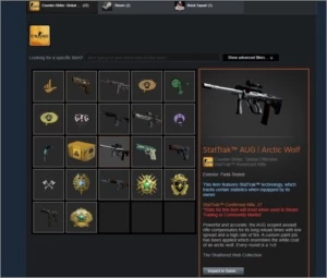 CONTA CS:GO PRIME! PATENTE: SUPREMO COM MEDALHAS - Counter Strike