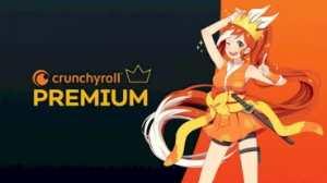 Crunchyroll Mega Fan Conta Só Sua Por 30 - Assinaturas e Premium