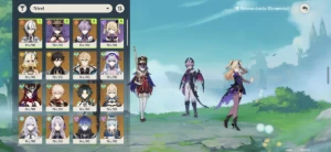 Acc de Genshin Impact